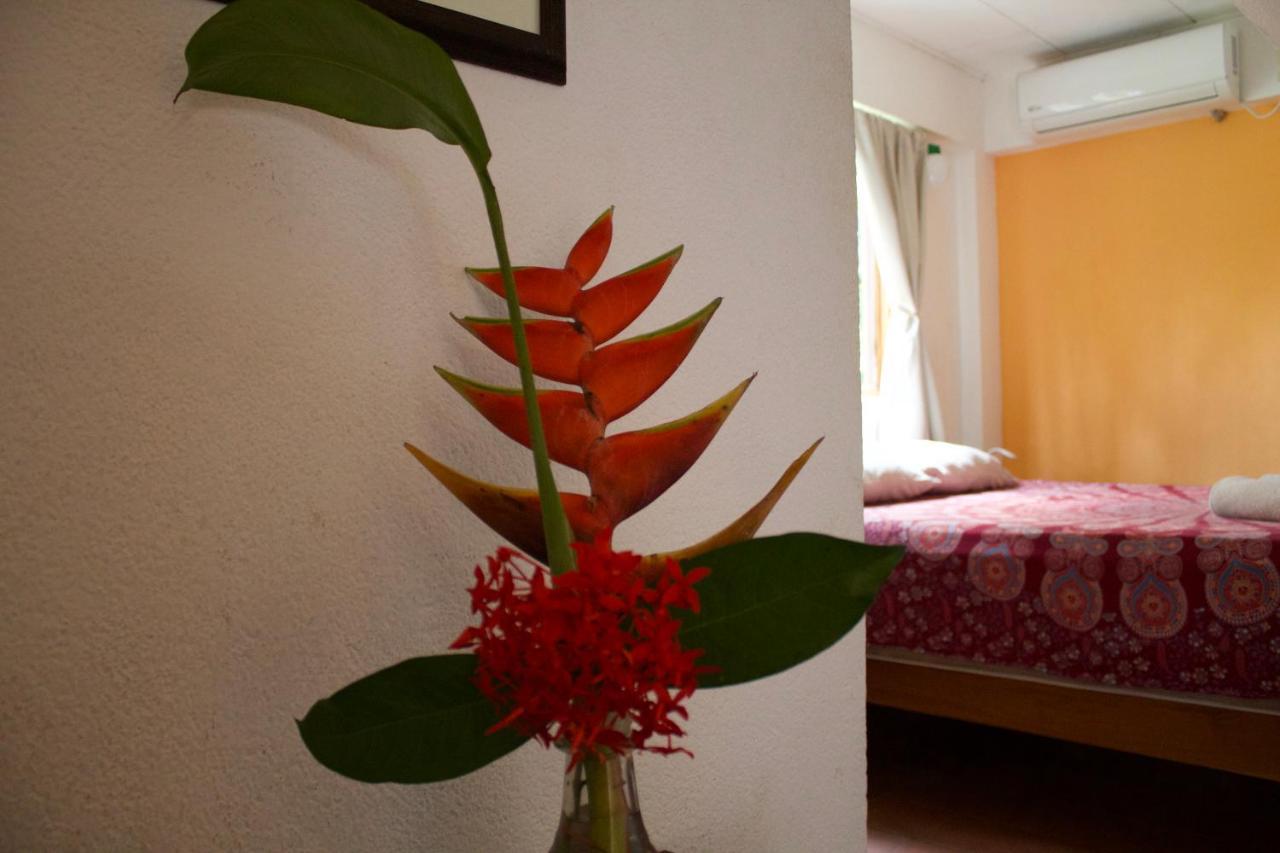 Hostel Tajalin Montezuma Extérieur photo